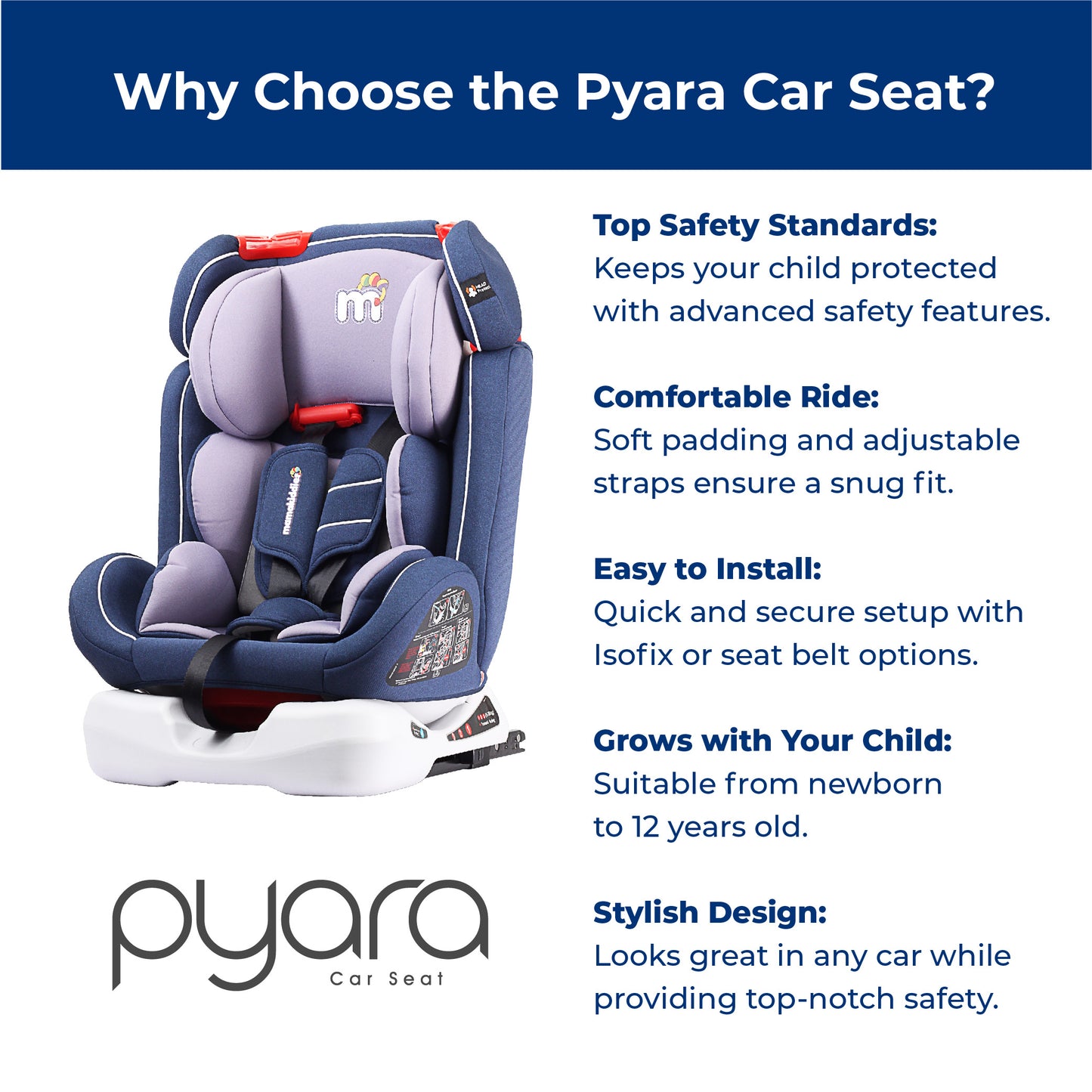 PYARA (Copy)