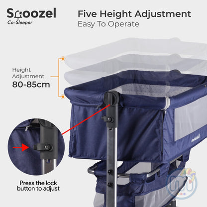 SNOOZEL